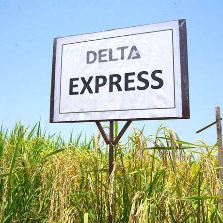 Delta-Express-1