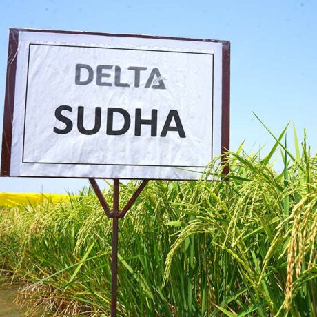Sudha-1